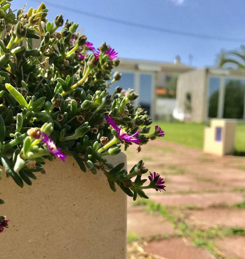ברנאלדה B&B Villa Degli Angeli מראה חיצוני תמונה