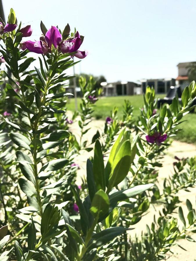 ברנאלדה B&B Villa Degli Angeli מראה חיצוני תמונה